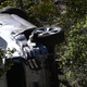 Illustration for article titled Tiger Woods Hospitalized After Rollover Car Crash (Update: Details Of Crash, Injury)